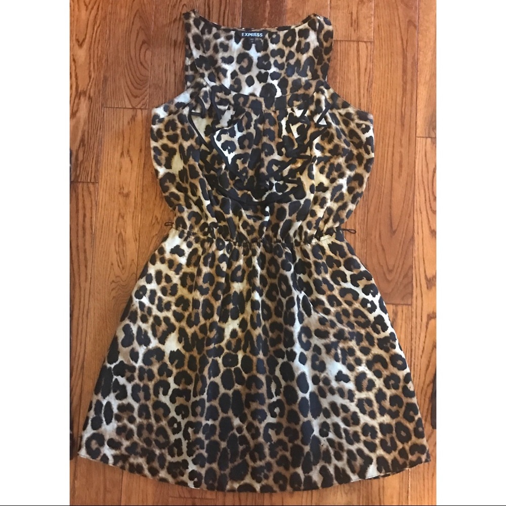 Express leopard print dress